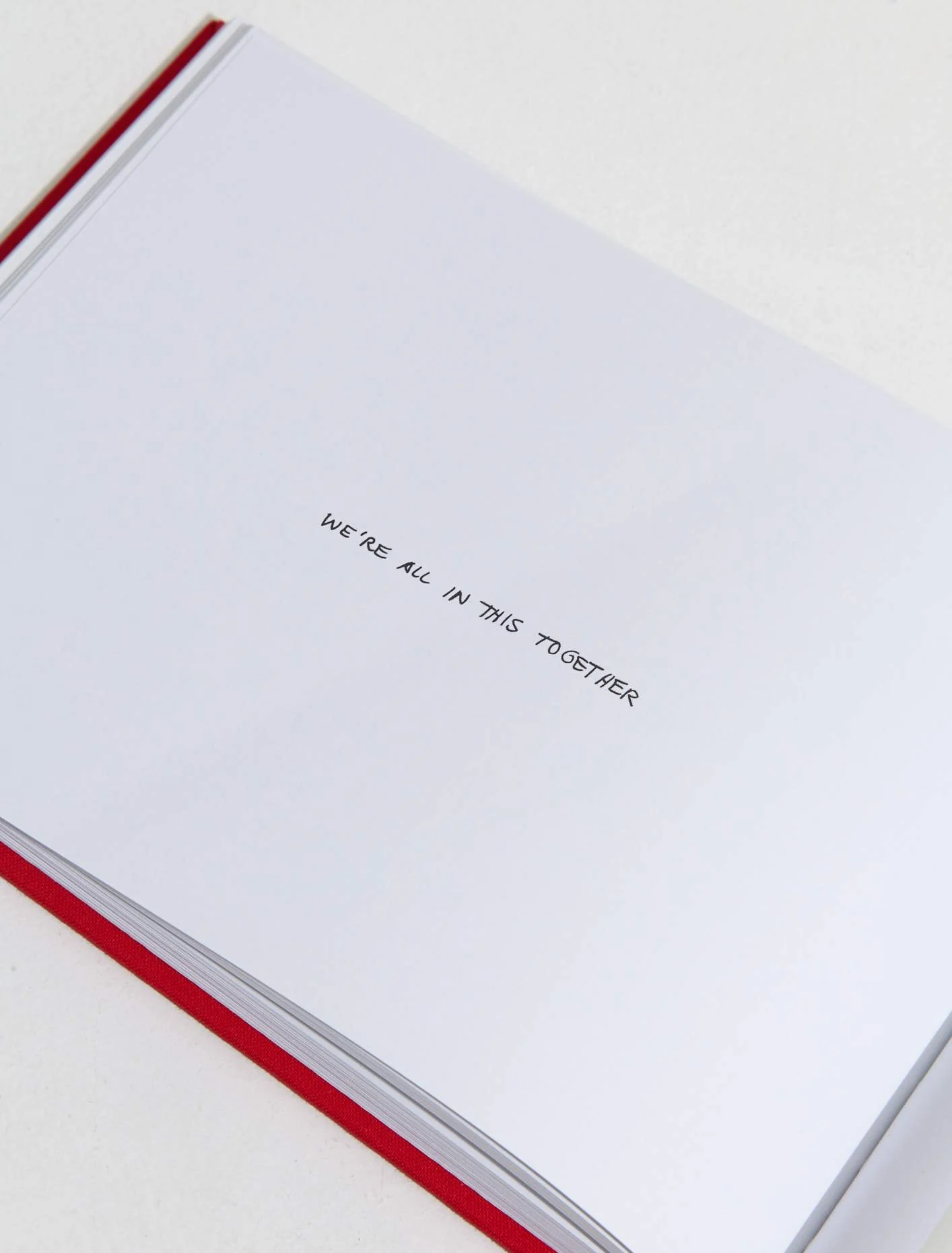 A History of the World (in Dingbats) by David Byrne - Image 3