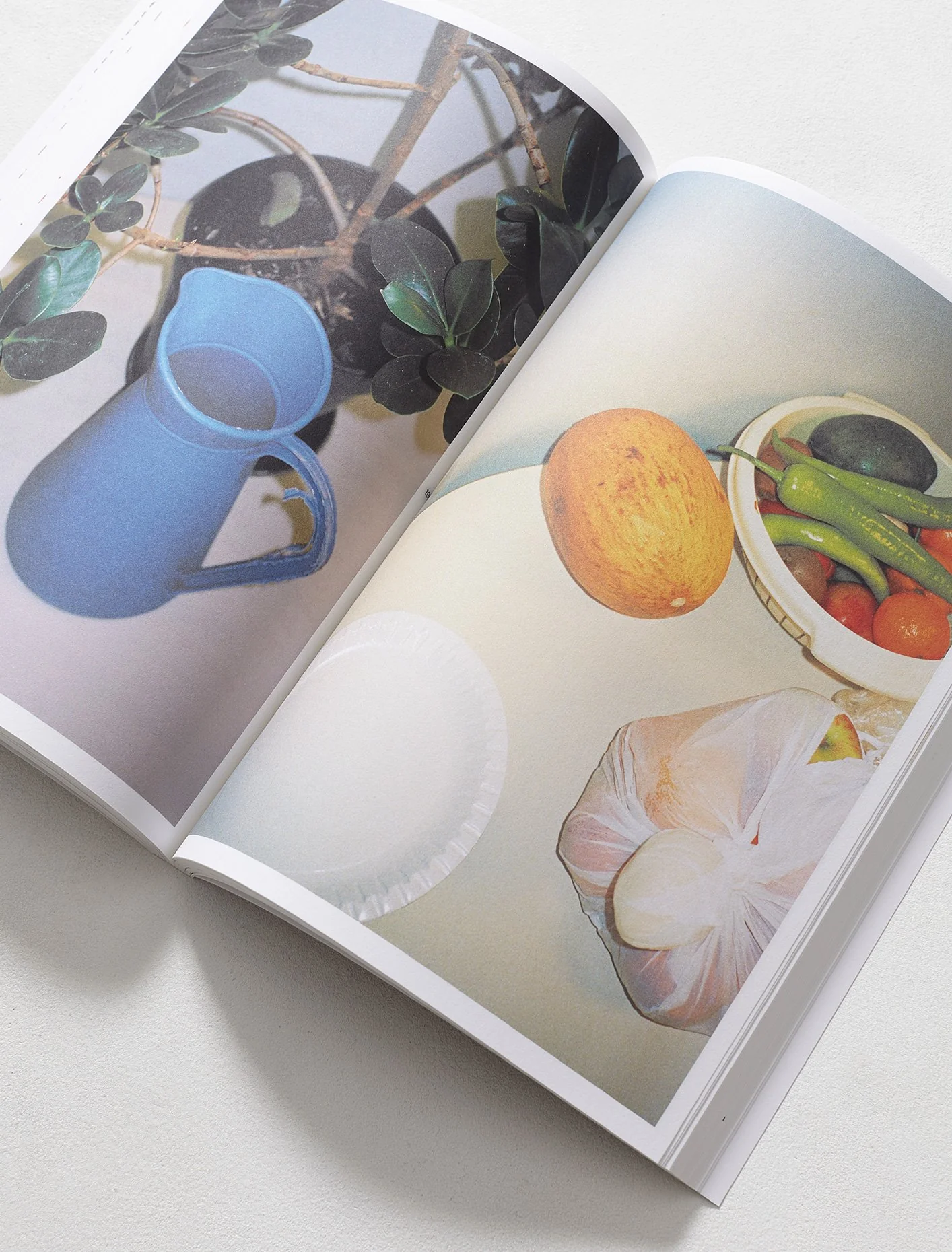 BIRDS OF A FEATHER by OpStap, Vincen Beeckman, Colin Pantall, Lien Van Leemput and APE - Image 3