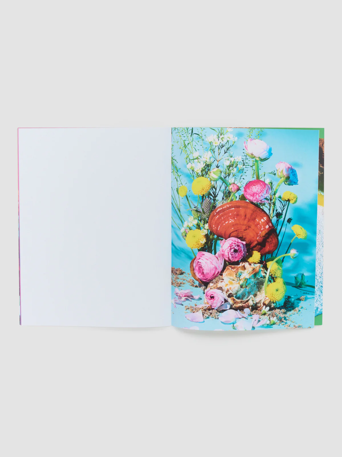 Mushrooms and Friends Zine 4 - Image 3