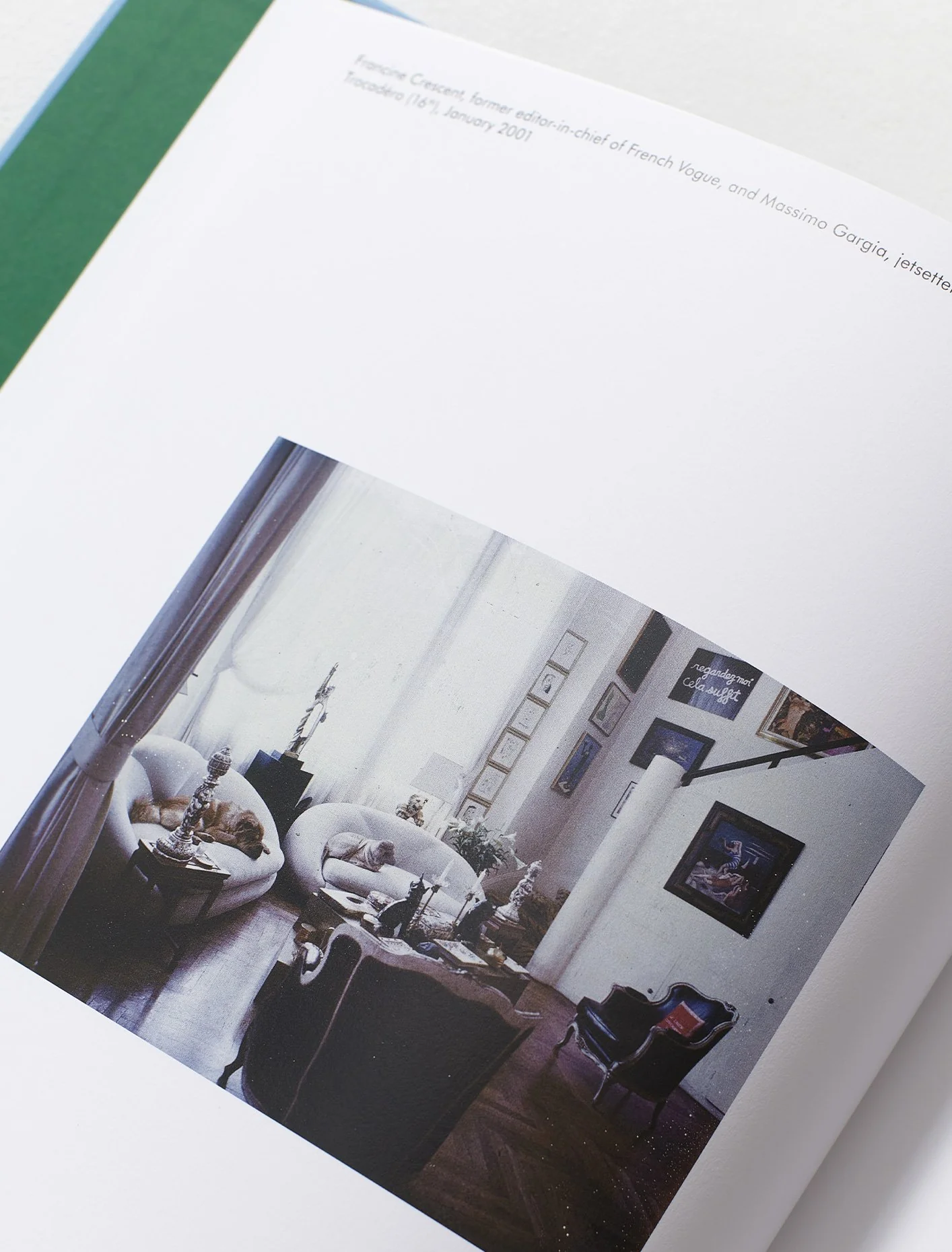 Paris Living Rooms - Dominique Nabokov - Image 3