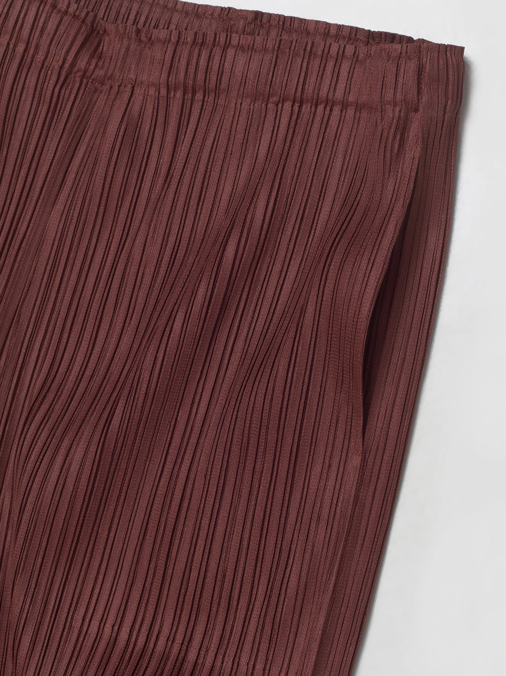 Pleated Pants in Brown - Image 3