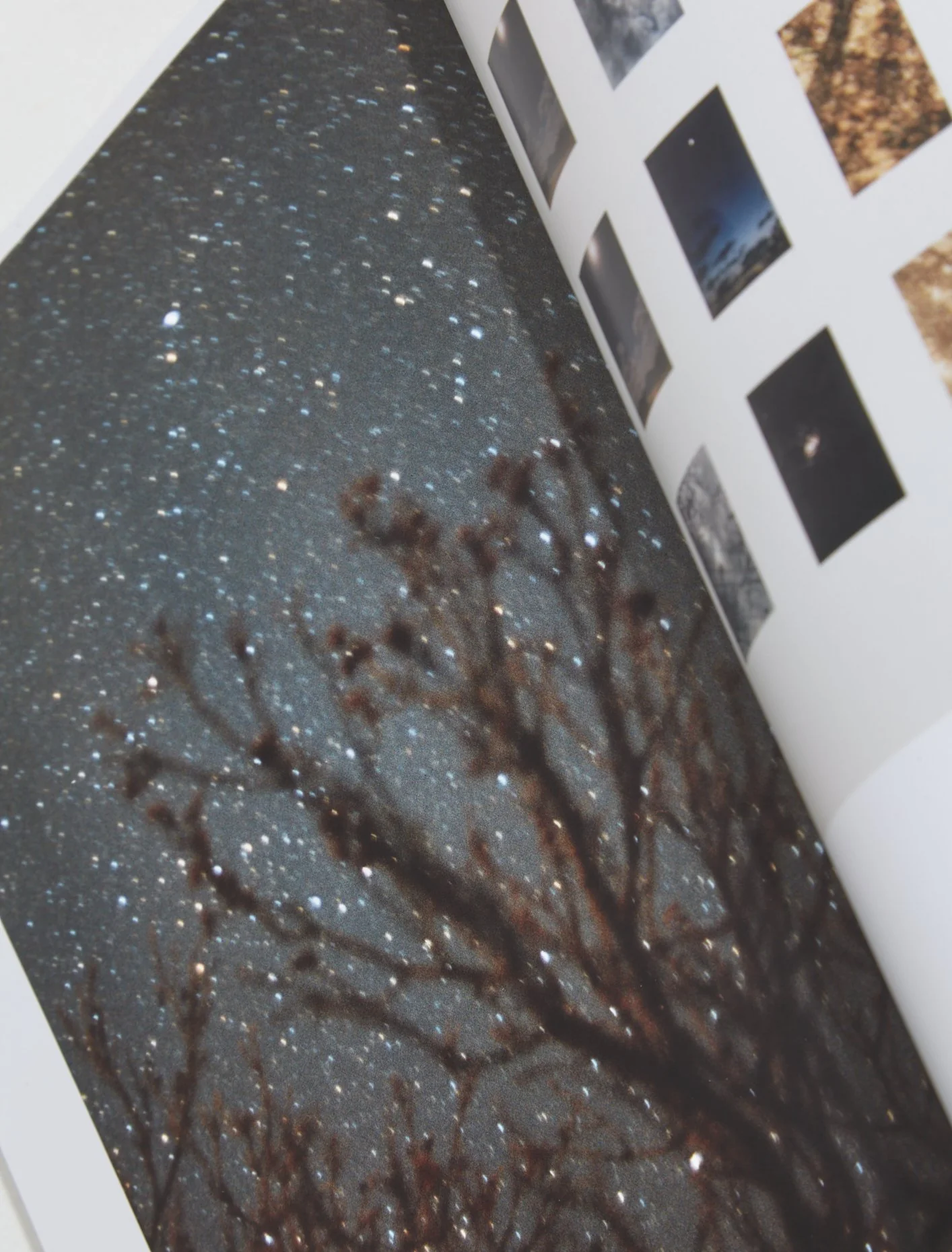 Wolfgang Tillmans: To Look Without Fear - Image 3